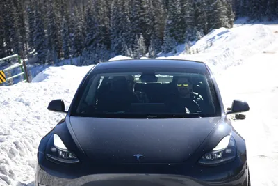 DSC_4976 (Large).JPG